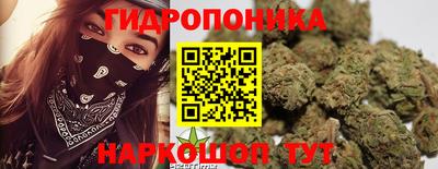 каннабис Гусиноозёрск