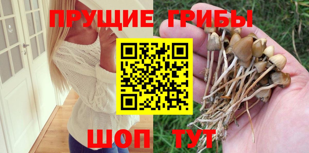 Псилоцибиновые грибы ЛСД  где найти наркотики  Норильск  Вход с VPN 